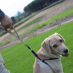 Tactical Dog Leash 1000D Premium Nylon